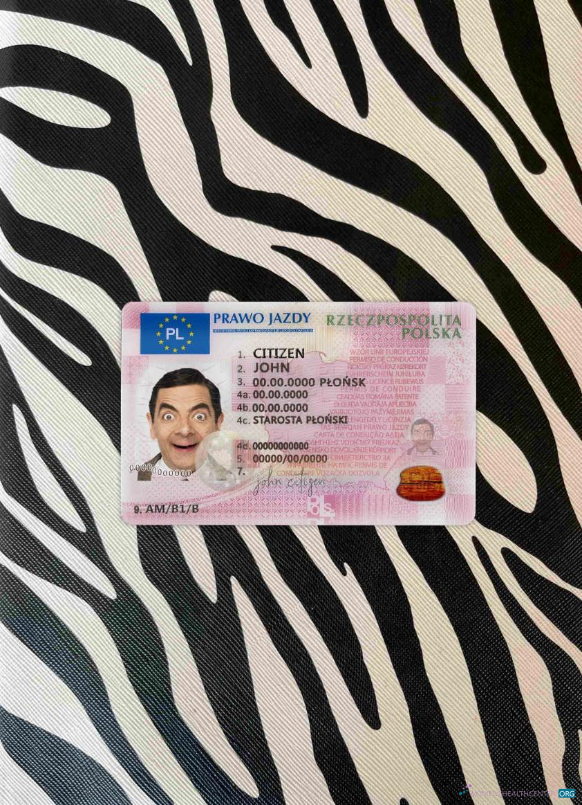 Download Poland DL 2019   present photolook FRONT Photoshop template